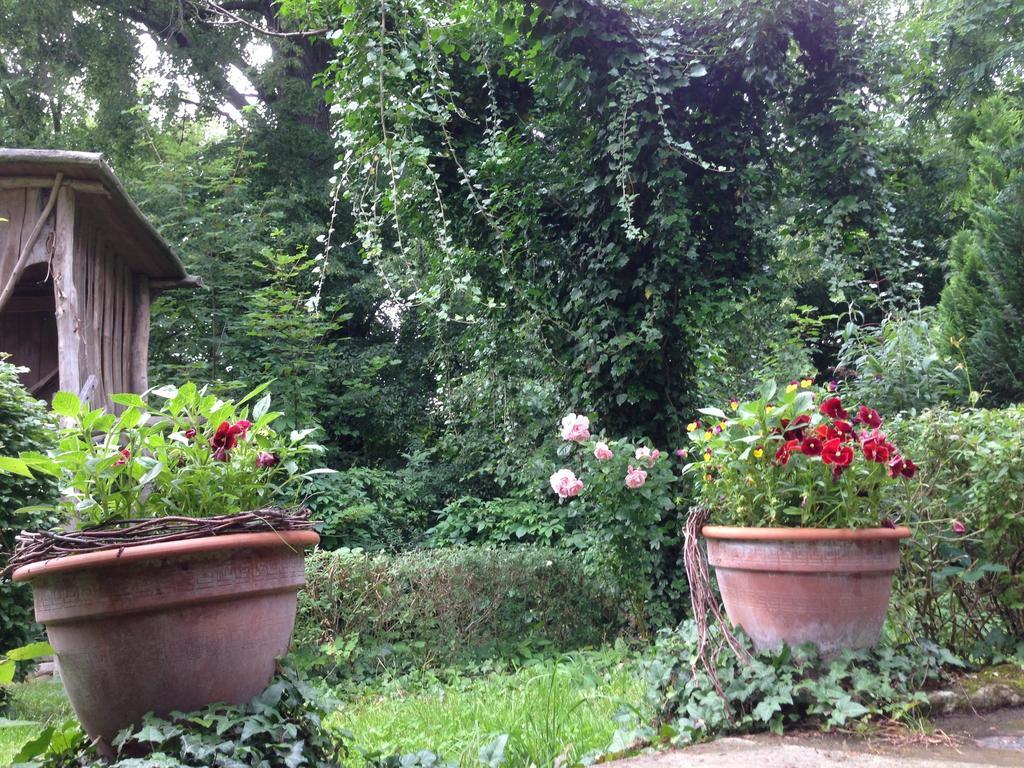 Ferienwohnung Heiterer Blick am Malerweg Pirna Exterior foto